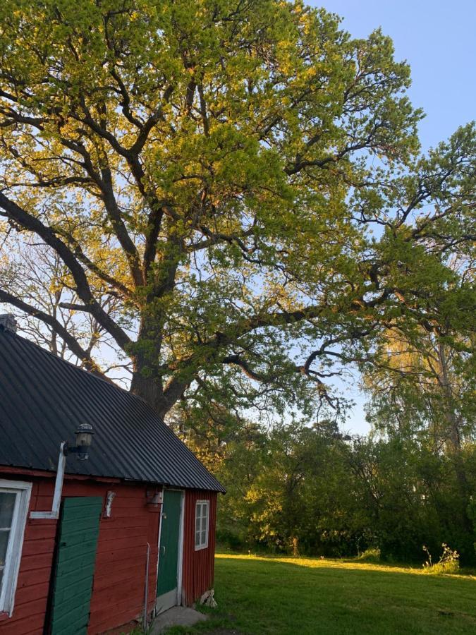 Martebo Bed & Breakfast Tingstäde Eksteriør billede
